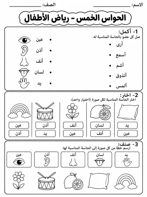 الحواس الخمس - رياض الأطفال