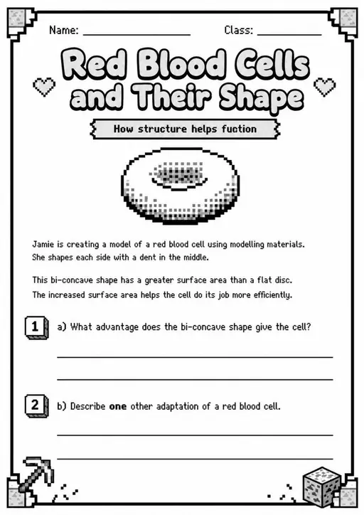 Lower Secondary Grade 6 Life Science Worksheets - Pack 2
