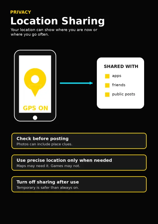 Privacy Infographic