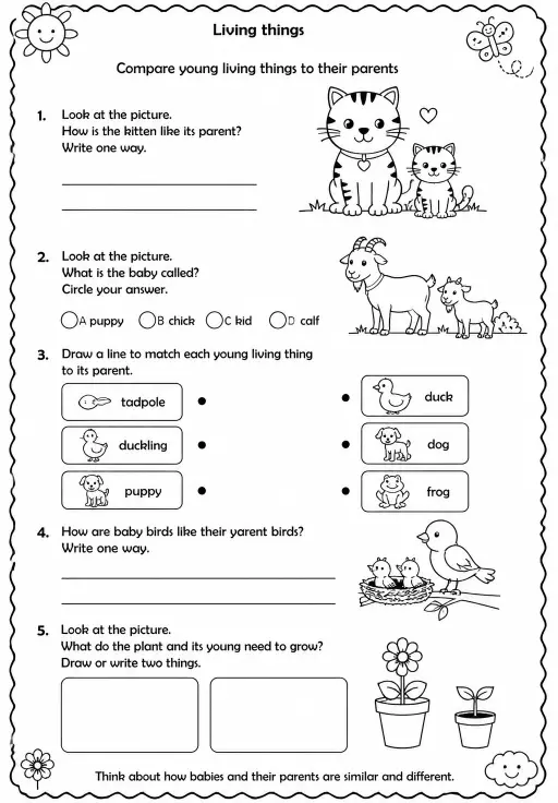 Compare young living things to their parents