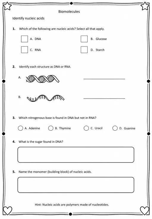 Identify nucleic acids
