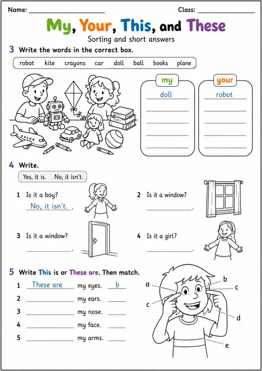 My Your This These and Short Answers | Grade 1 Grammar Review