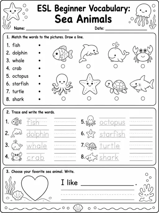 ESL Beginner Vocabulary: Sea Animals