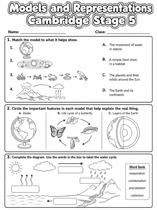 Models and Representations Cambridge Stage 5