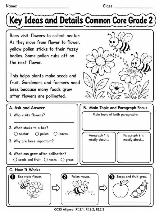 Key Ideas and Details Common Core Grade 2