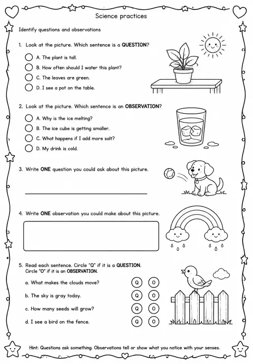 Identify questions and observations