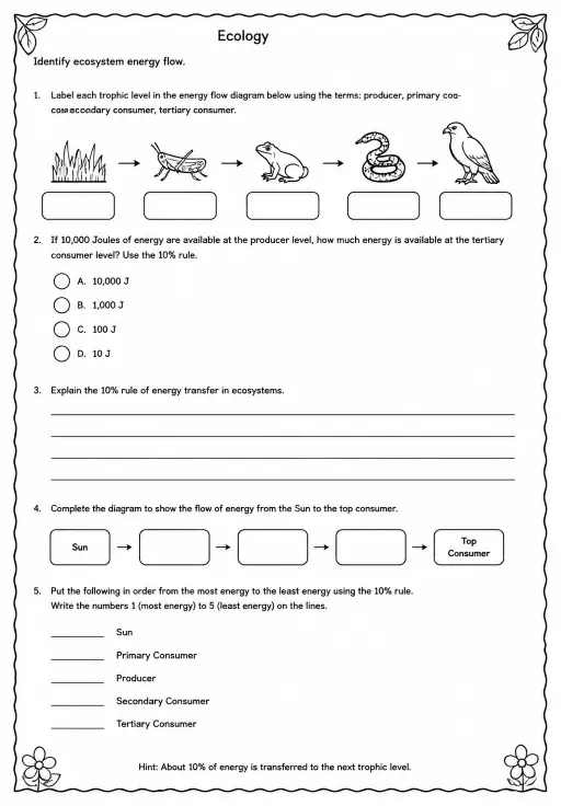 Identify ecosystem energy flow
