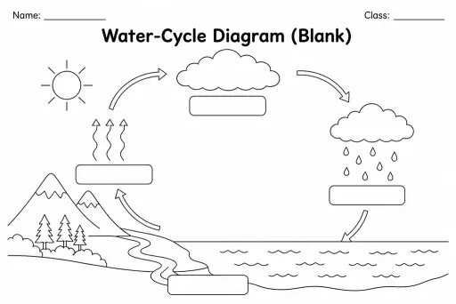 Water-Cycle Diagram (Blank)