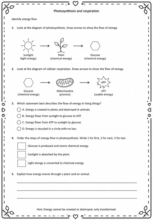 Identify energy flow