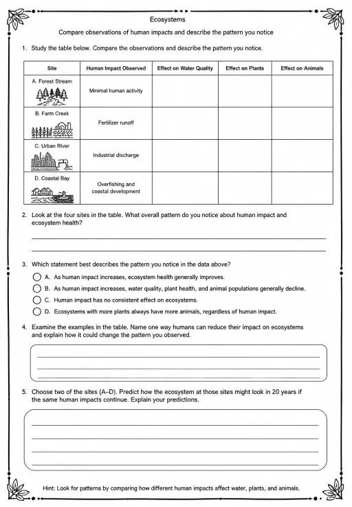Compare observations of human impacts and describe the pattern you notice