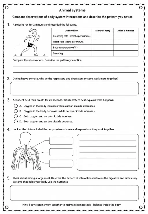 Compare observations of body system interactions and describe the pattern you notice