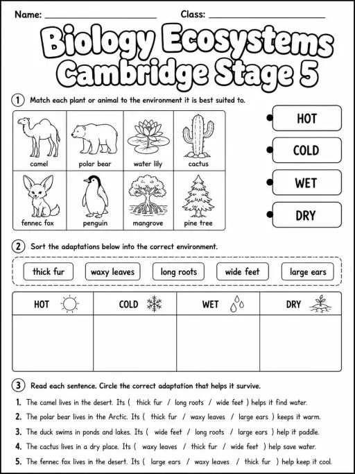 Biology Ecosystems Cambridge Stage 5