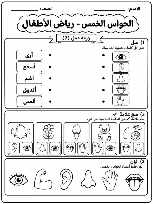 الحواس الخمس - رياض الأطفال