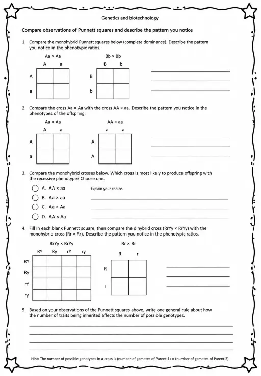 Compare observations of Punnett squares and describe the pattern you notice