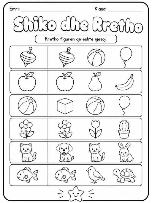 Dallim figurash - Pako fletësh pune