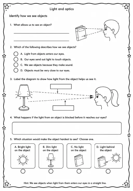 Identify how we see objects