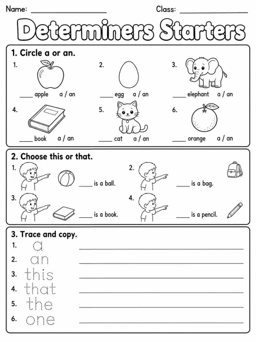 Determiners Starters Vocabulary Worksheet Pack