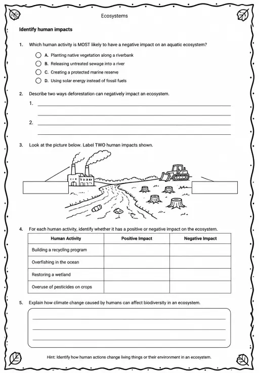 Identify human impacts