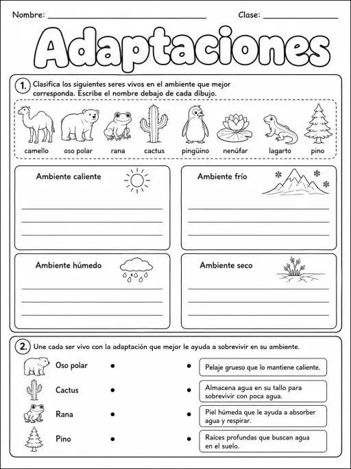 3.º grado - plantas - Paquete de fichas - Conjunto 6