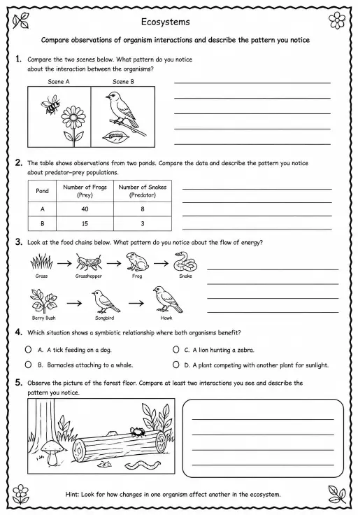 Compare observations of organism interactions and describe the pattern you notice