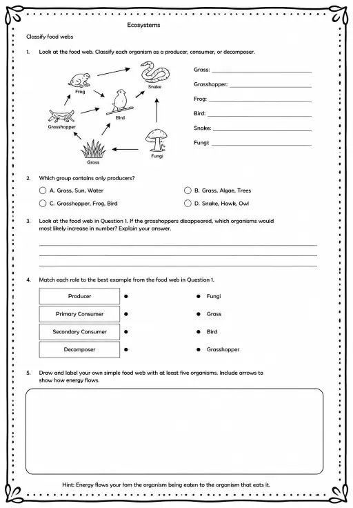Classify food webs