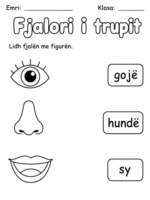 Fjalori i trupit - Pako fletësh pune - Grupi 2