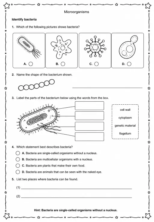 Identify bacteria