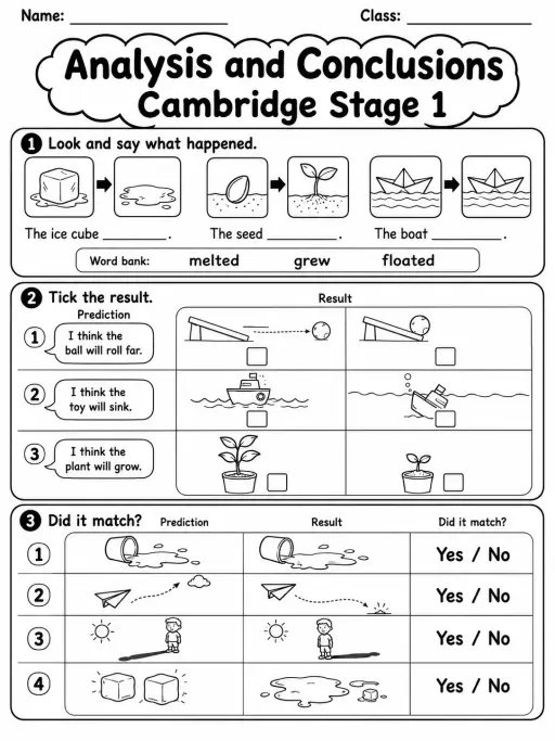 Analysis and Conclusions Cambridge Stage 1