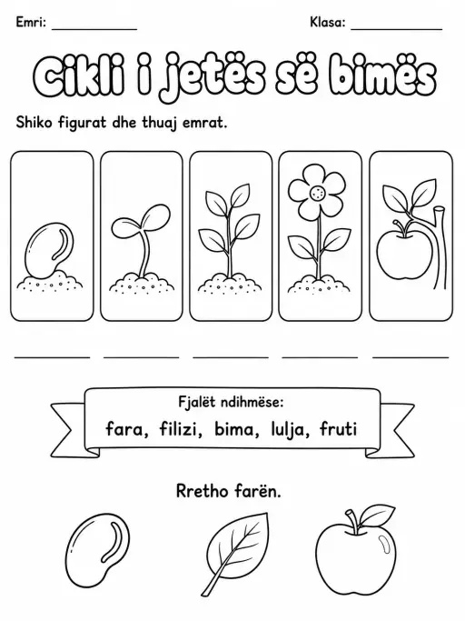 Cikli i jetës së bimës - Pako fletësh pune