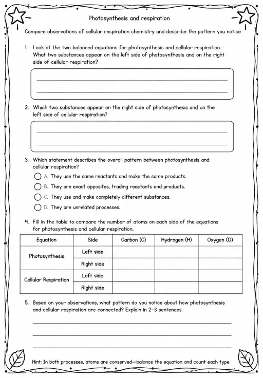Compare observations of cellular respiration chemistry and describe the pattern you notice