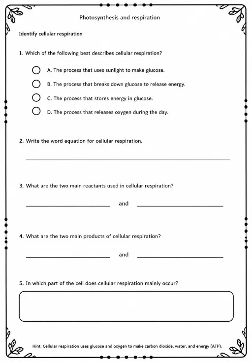 Identify cellular respiration