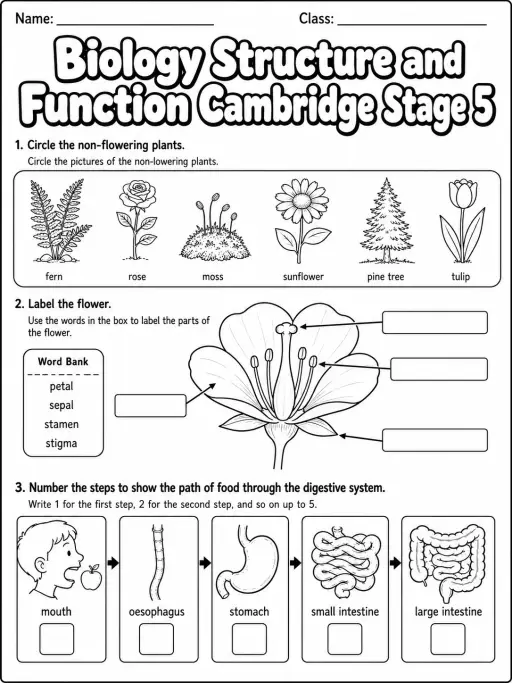 Biology Structure and Function Cambridge Stage 5
