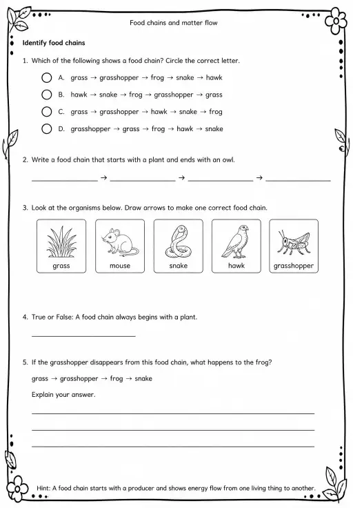 Identify food chains