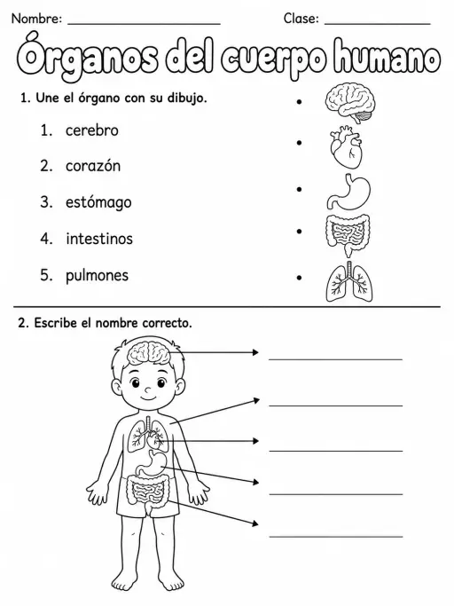 3.º grado - ciencias naturales - Paquete de fichas - Conjunto 2