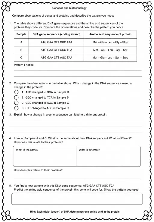Compare observations of genes and proteins and describe the pattern you notice