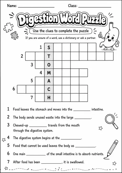 Digestion Word Puzzle - Grade 3 Science Worksheet