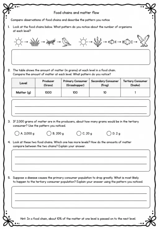 Compare observations of food chains and describe the pattern you notice