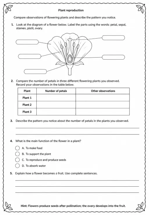 Compare observations of flowering plants and describe the pattern you notice