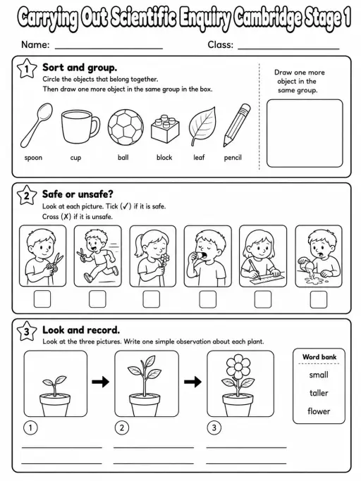 Carrying Out Scientific Enquiry Cambridge Stage 1