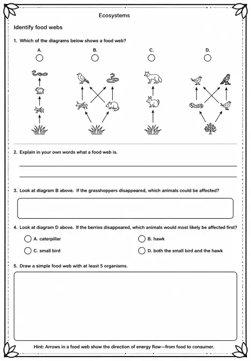 Identify food webs