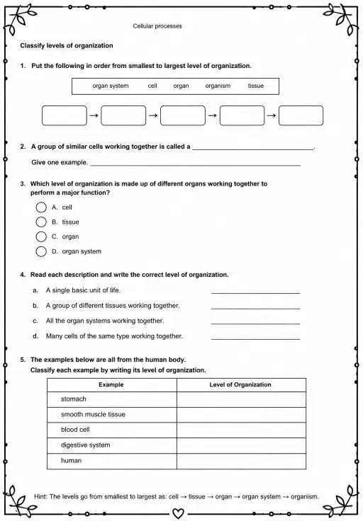 Classify levels of organization