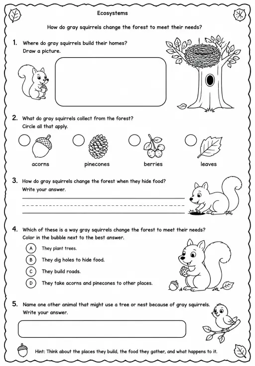 How do gray squirrels change the forest to meet their needs?