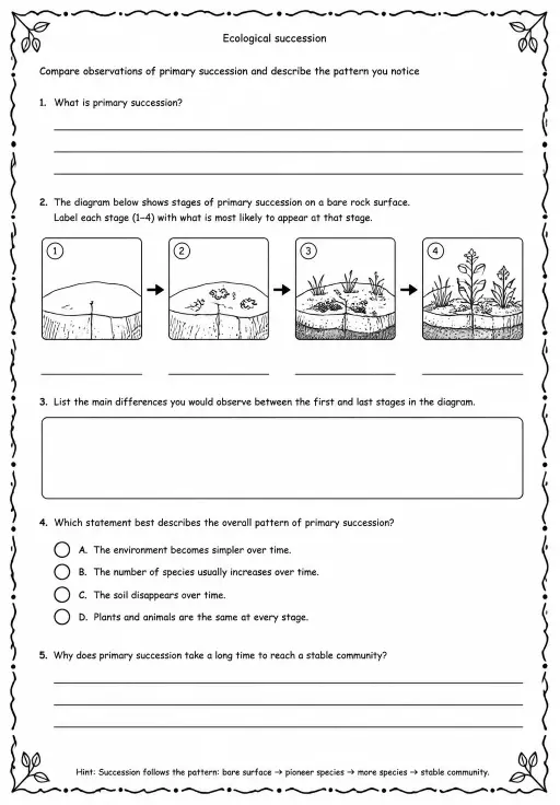 Compare observations of primary succession and describe the pattern you notice