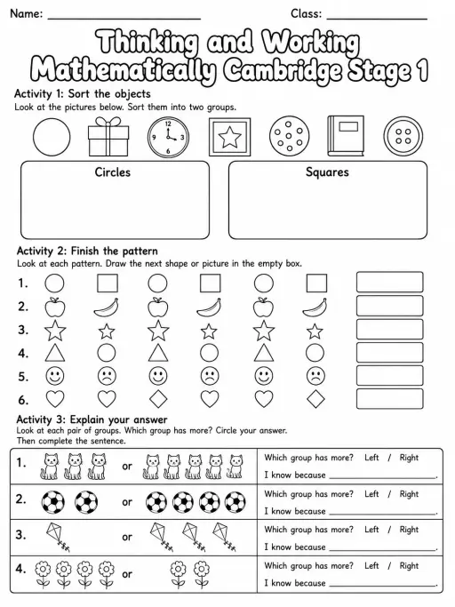 Thinking and Working Mathematically Cambridge Stage 1