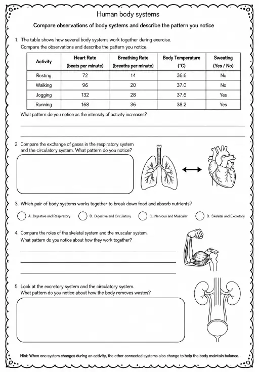 Compare observations of body systems and describe the pattern you notice