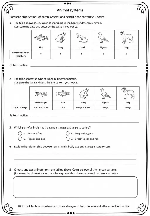 Compare observations of organ systems and describe the pattern you notice