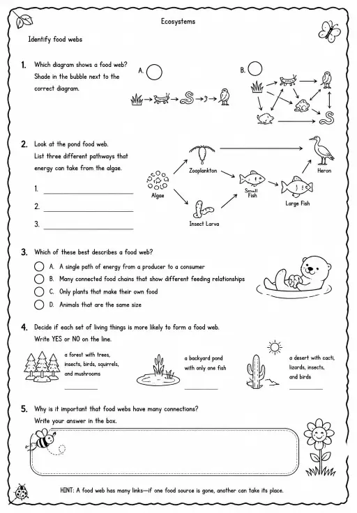 Identify food webs