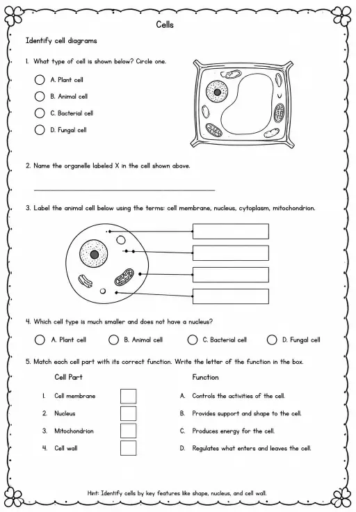 Identify cell diagrams