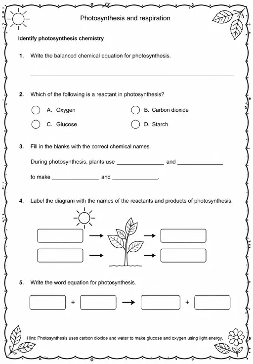Identify photosynthesis chemistry