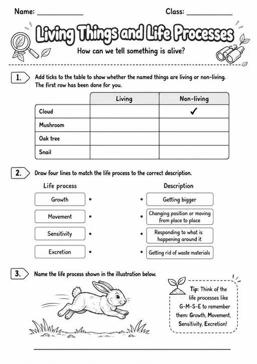 Middle School Grade 8 Life Science Worksheets - Pack 1